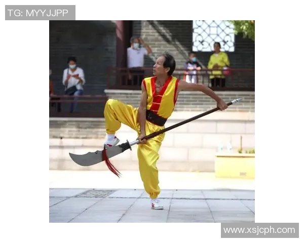 探索新架一路拳谱的奥秘与传承之路：武术文化的深厚底蕴与现代意义